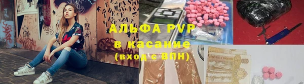 сатива Верея