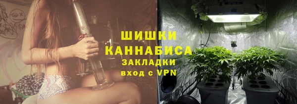 сатива Верея