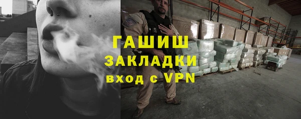 сатива Верея