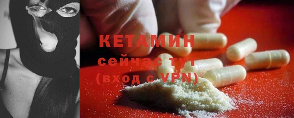 сатива Верея