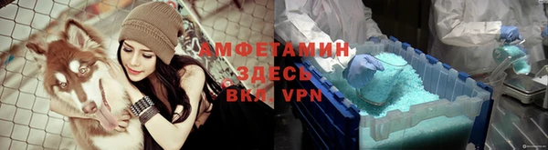 сатива Верея