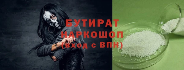 сатива Верея