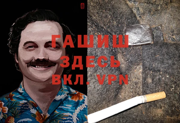 сатива Верея
