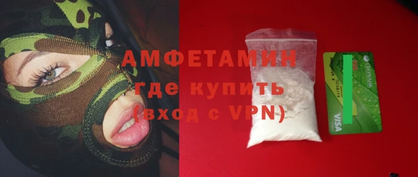 сатива Верея
