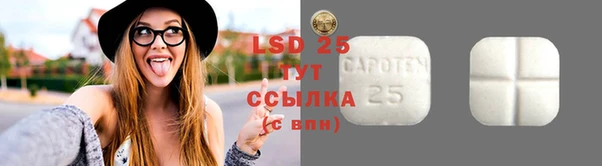 сатива Верея