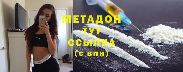 сатива Верея