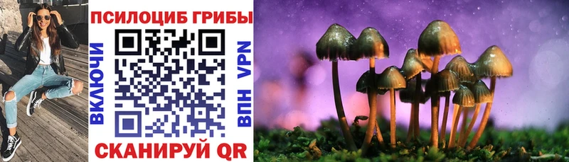 Псилоцибиновые грибы мицелий  Курган 